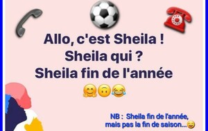 Sheila fin de l'année