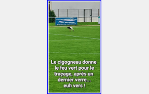 665c58a52b885_Cigogneau.jpg